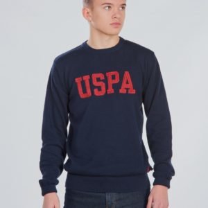 Us Polo Uspa True Knit Crew Neule Sininen