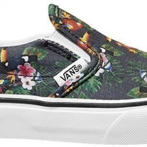 Vans Tennarit Parrot