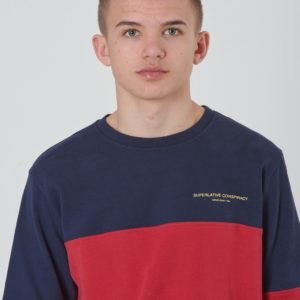 Wesc Block Sweatshirt Jr Neule Punainen