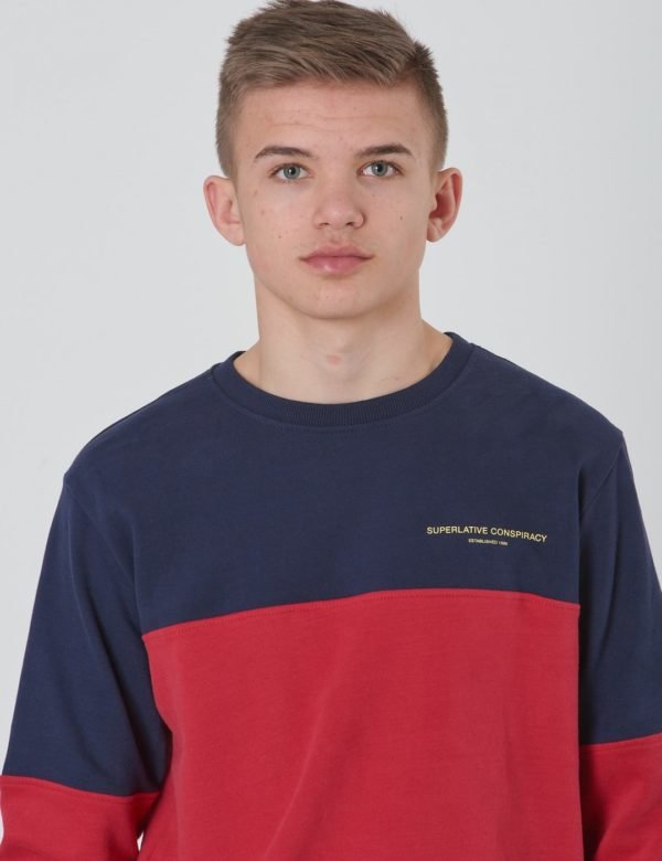 Wesc Block Sweatshirt Jr Neule Punainen