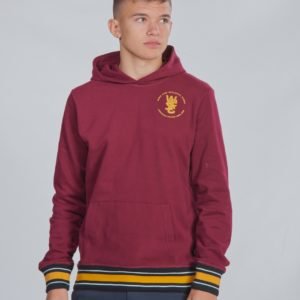 Wesc Mike Varsity Huppari Punainen