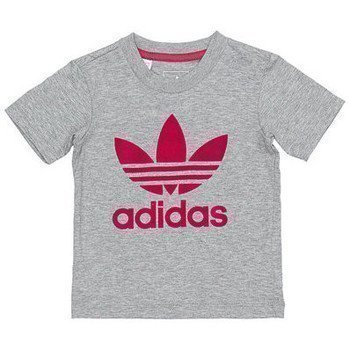 adidas urheilupuku lyhythihainen t-paita